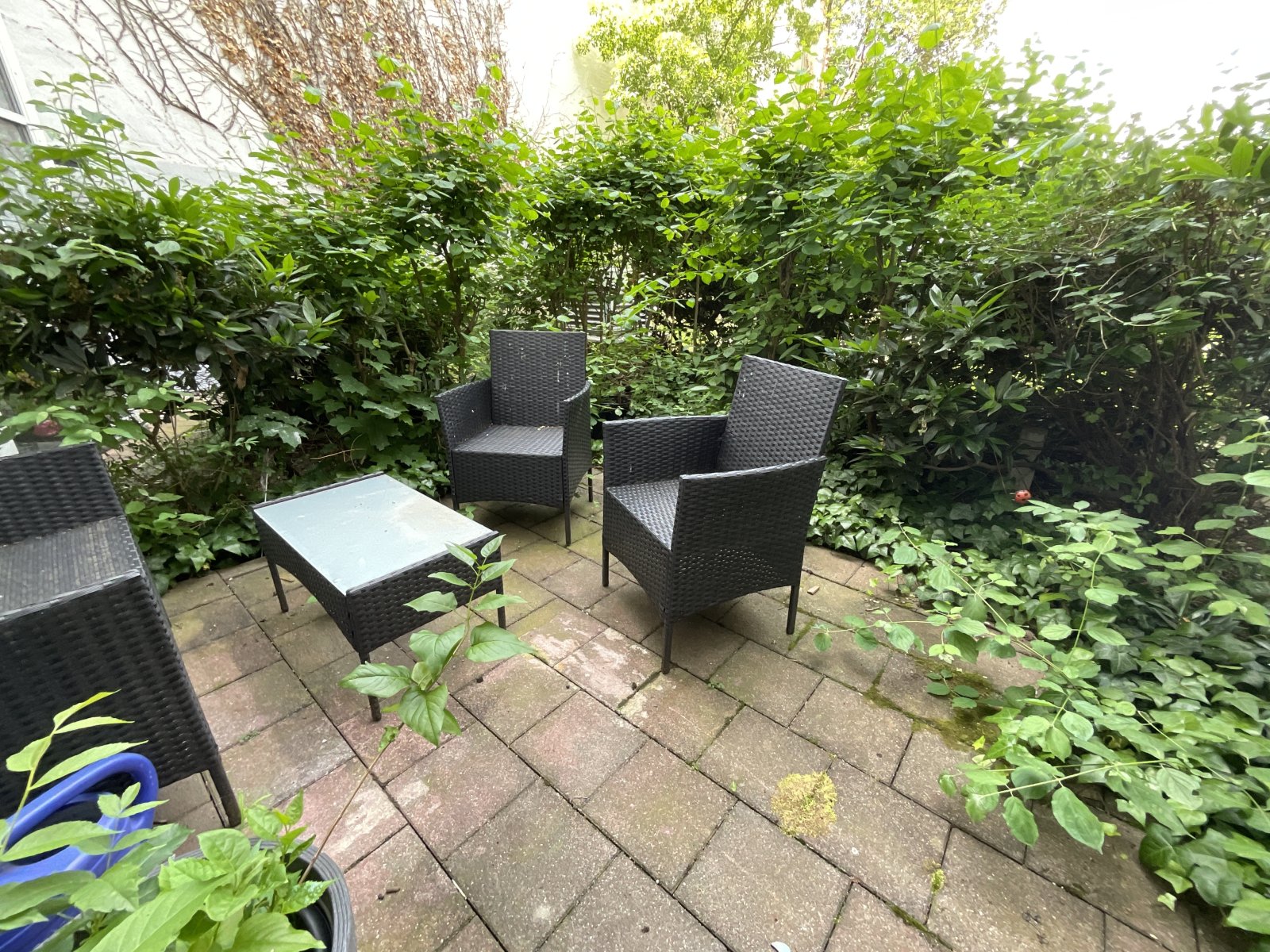 Terrasse Terrasse
